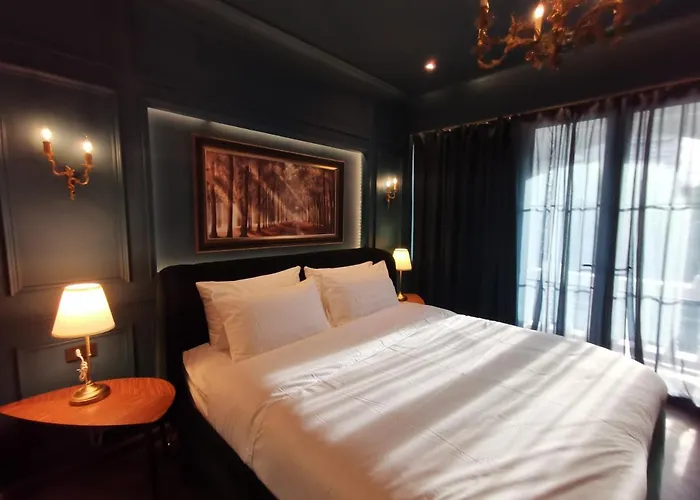 Hotel Double Bed